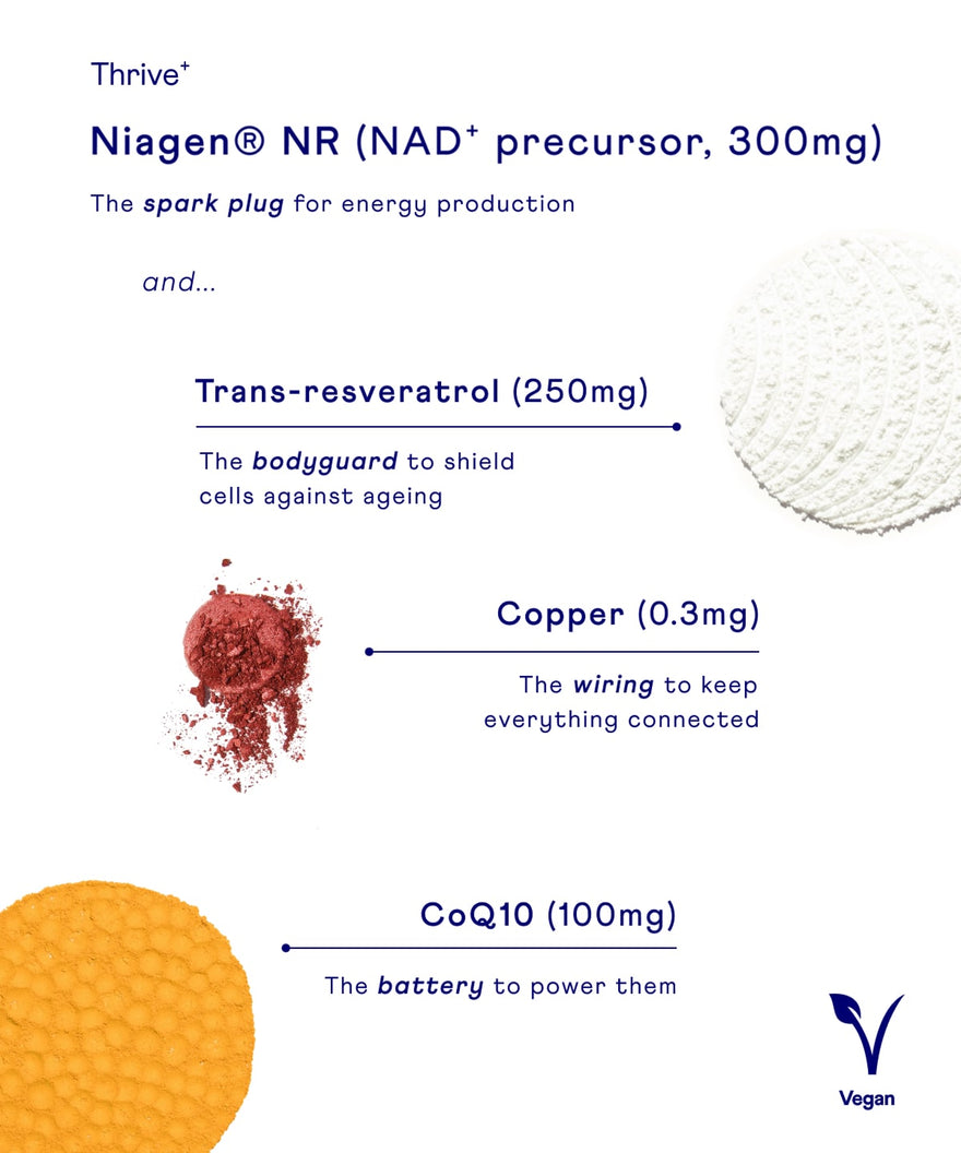 Vitals⁺ & Biotic⁺ Kombi